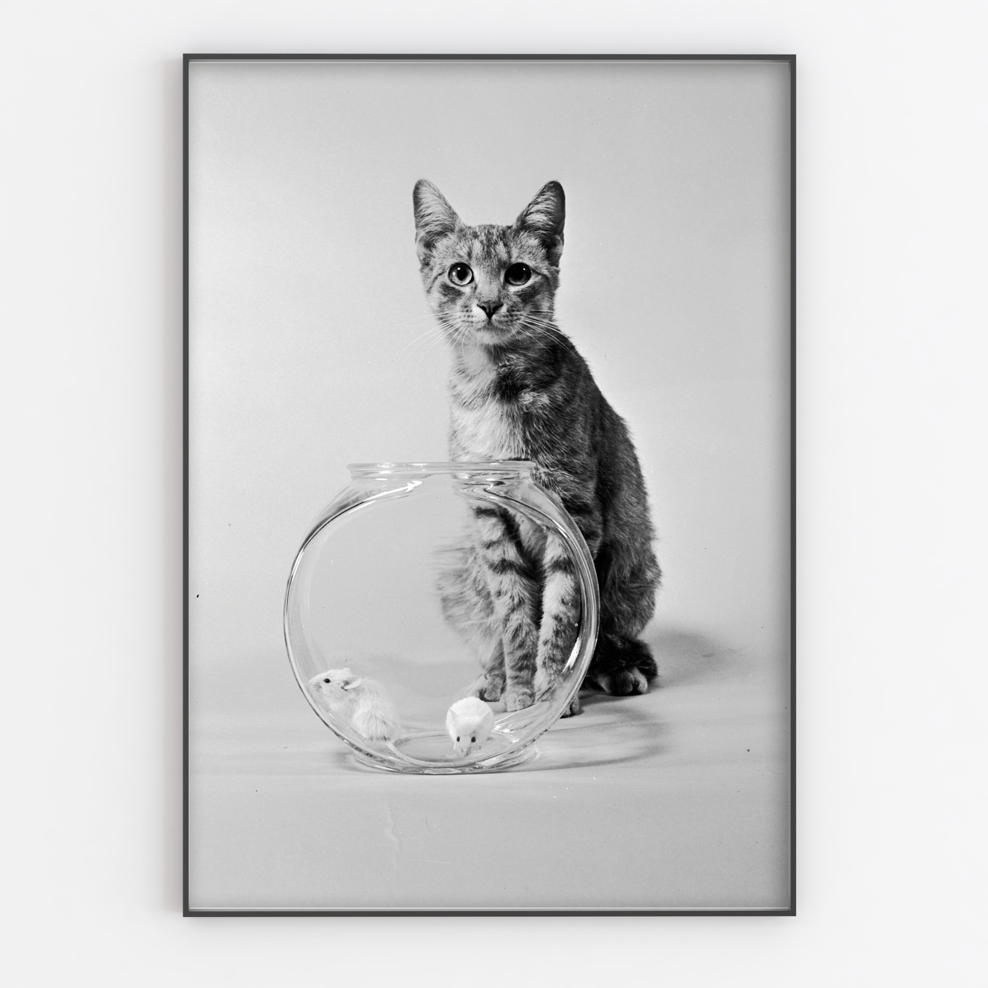 Cat With Mice Bowl Print - Gina Ellen Wall Art