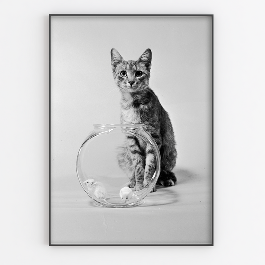 Cat With Mice Bowl Print - Gina Ellen Wall Art