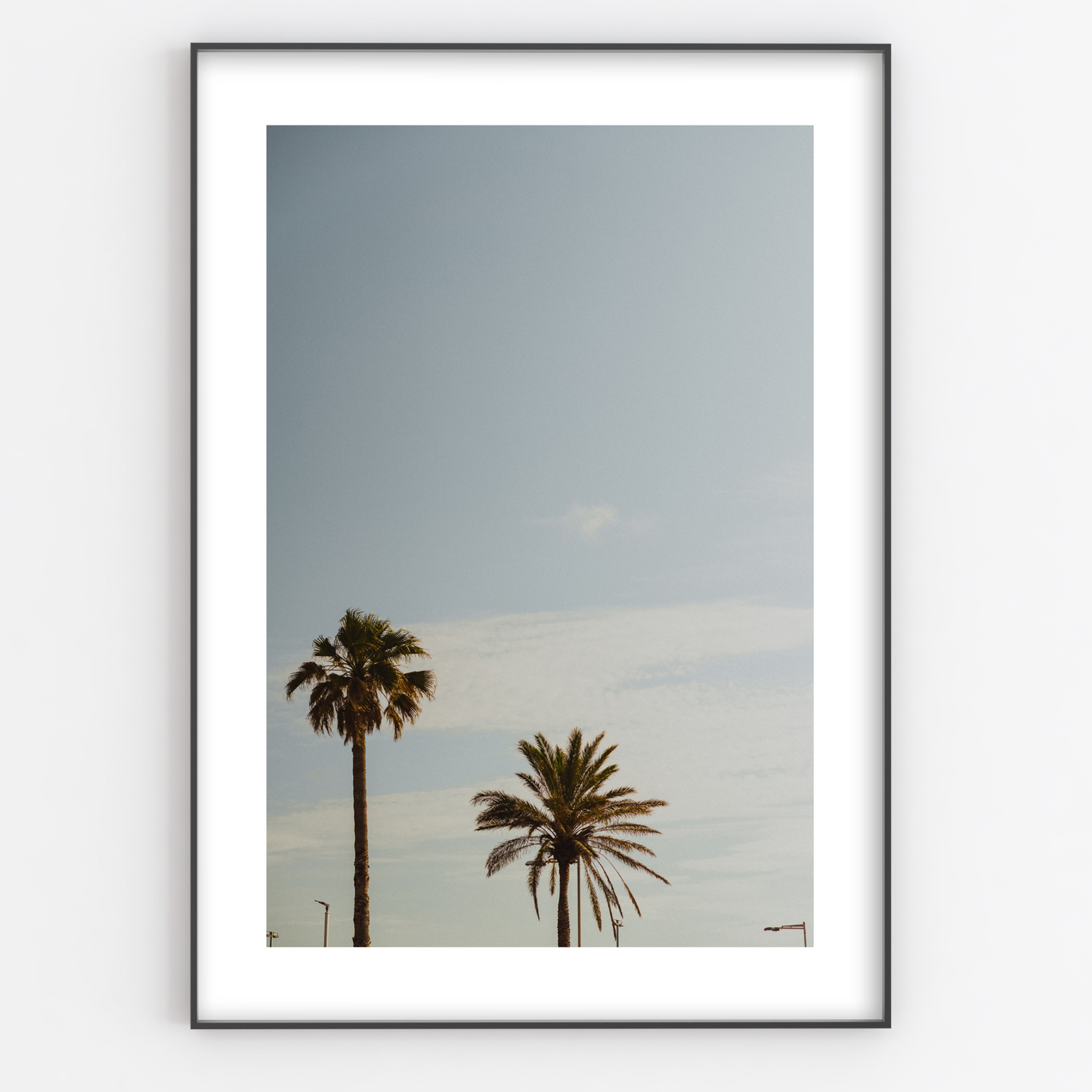 Palm Trees Print - Gina Ellen Wall Art