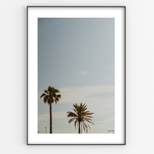 Palm Trees Print - Gina Ellen Wall Art