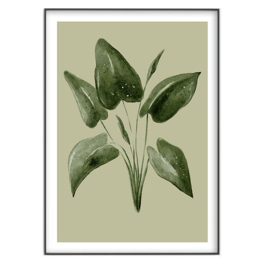 Watercolour Botanical Print - Gina Ellen Wall Art