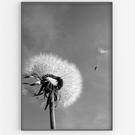 Dandelion Print - Gina Ellen Wall Art