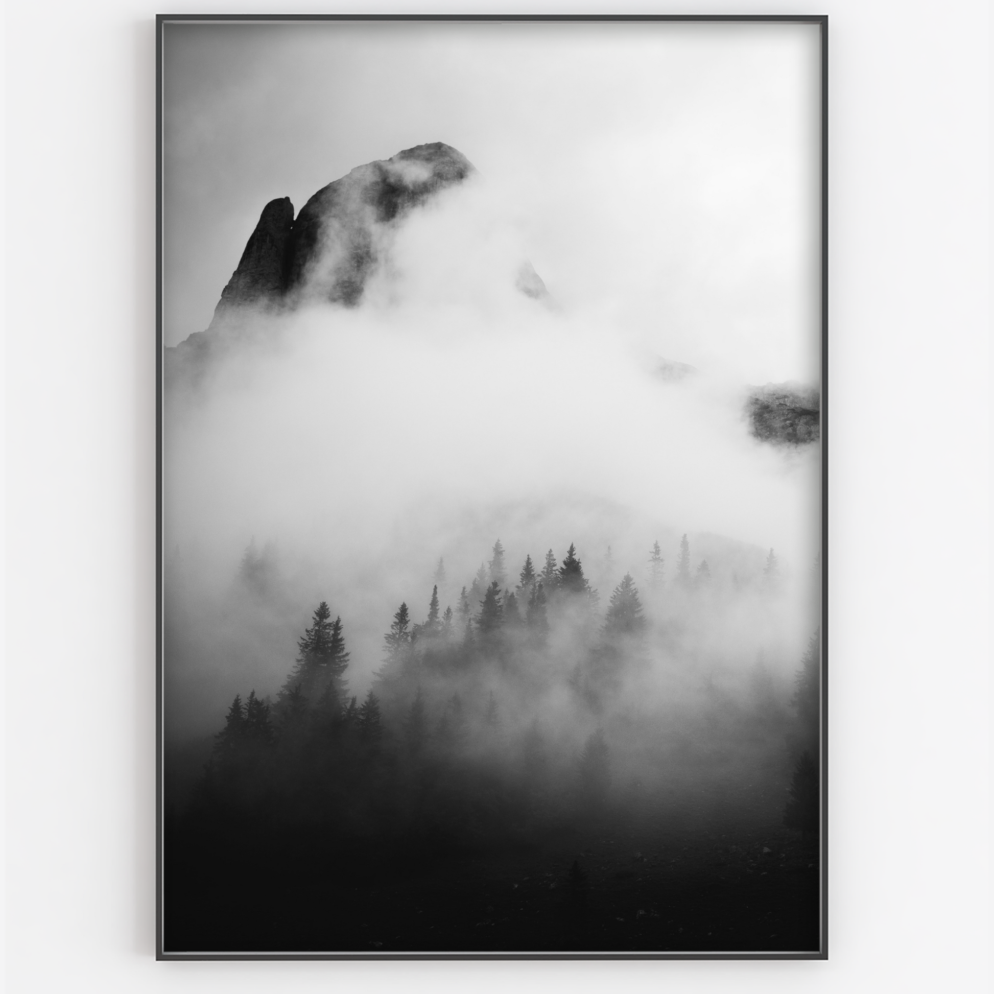 Black and White Misty Landscape - Gina Ellen Wall Art